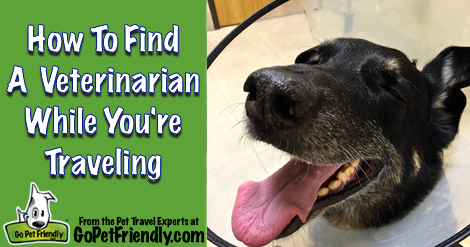 How To Find A Veterinarian While You're Traveling from the Pet Travel Experts at GoPetFriendly.com