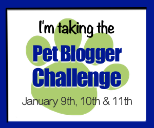 Join the Pet Blogger Challenge Jan 9th, 10th and 11th