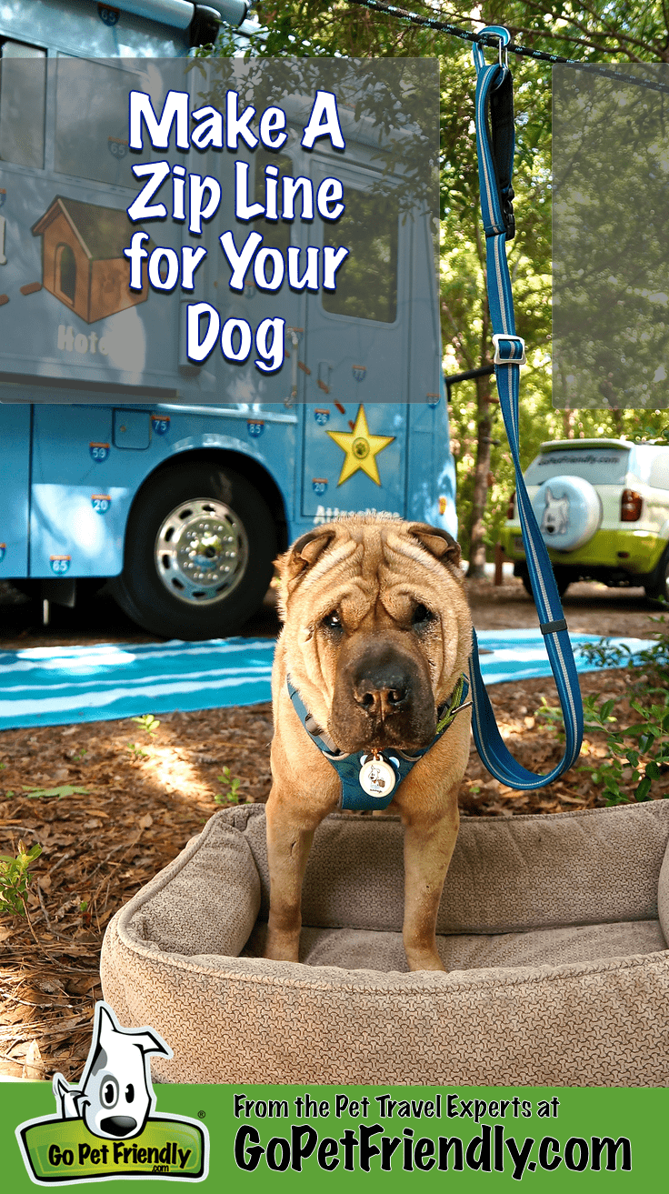  Ty the Shar-pei from GoPetFriendly.com on a zip line in a camping area