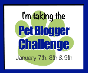 Take the Pet Blogger Challenge Jan 7th, 8th and 9th, 2017